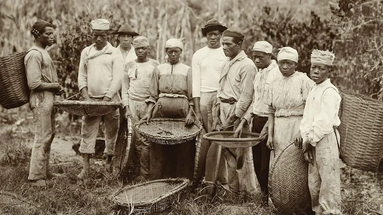 σκλάβοι που εργάζονται σε μια φάρμα καφέ